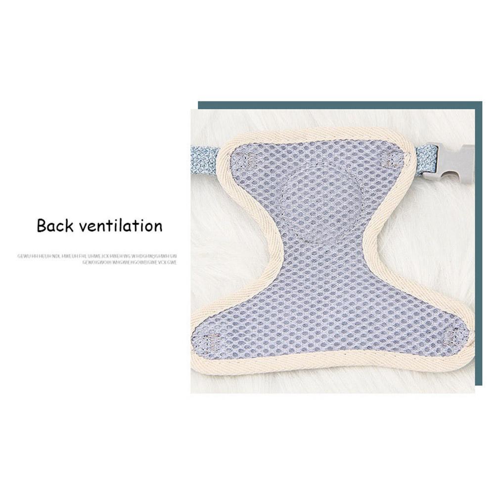 🐕 Correa Retráctil Buddy Beast – Paseos Seguros y Cómodos