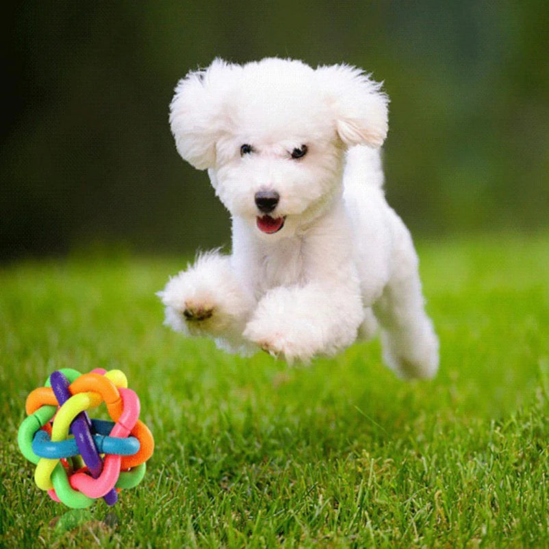 Colorful bell woven ball Rainbow toy ball Burst dog bite resistant toy rubber pet supplies